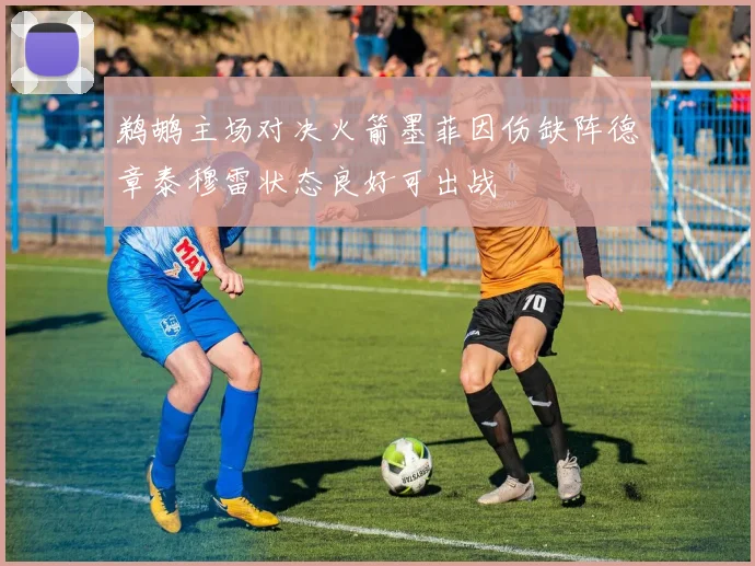 鹈鹕主场对决火箭墨菲因伤缺阵德章泰穆雷状态良好可出战