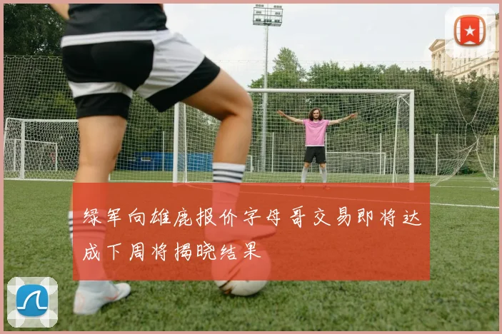 绿军向雄鹿报价字母哥交易即将达成下周将揭晓结果