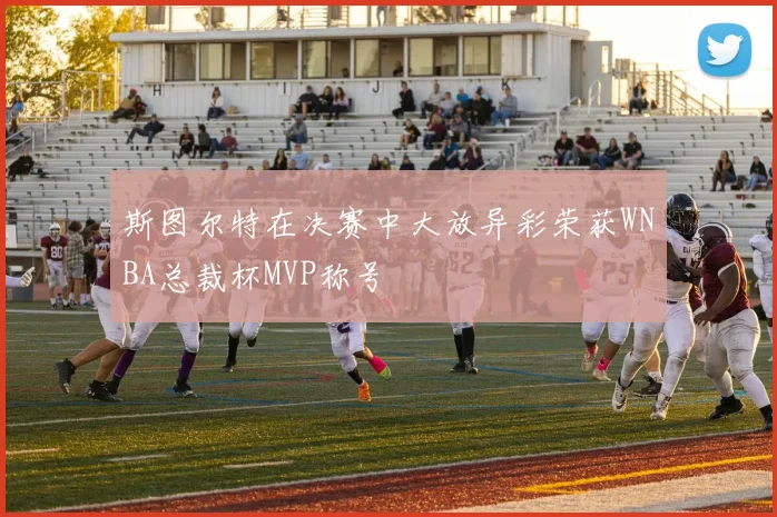斯图尔特在决赛中大放异彩荣获WNBA总裁杯MVP称号