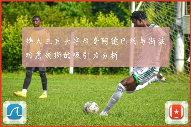 热火三巨头字母哥阿德巴约与斯波对詹姆斯的吸引力分析